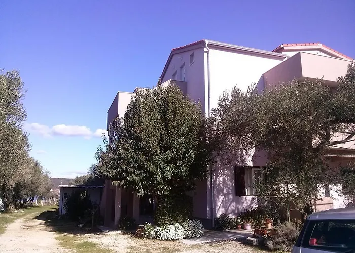 Maslina