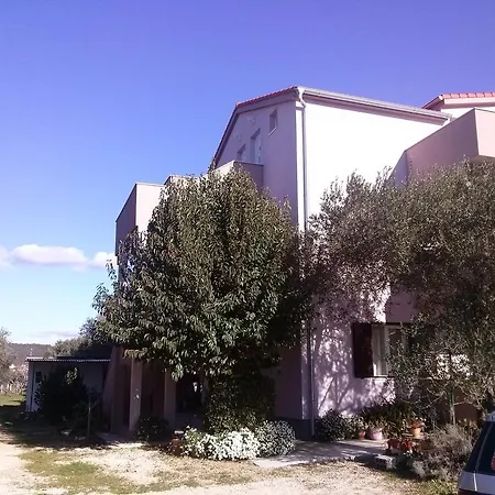 Maslina